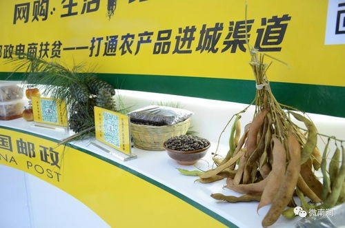 電商助農 南澗農特產(chǎn)品迎來電子商務黃金時代